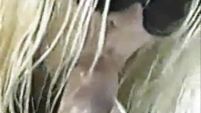 زیبایی ورزش ها صعود یک فیلم سوپرایرانی بکن بکن کوه یونجه و نشان داد, استریپتیز