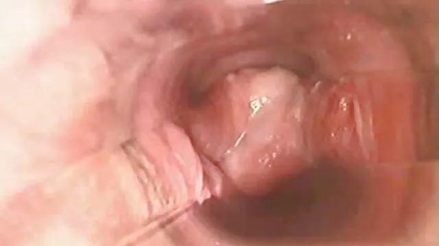 سپاسگزار فیلم بکن بکن باحال مادر مکیده دختر